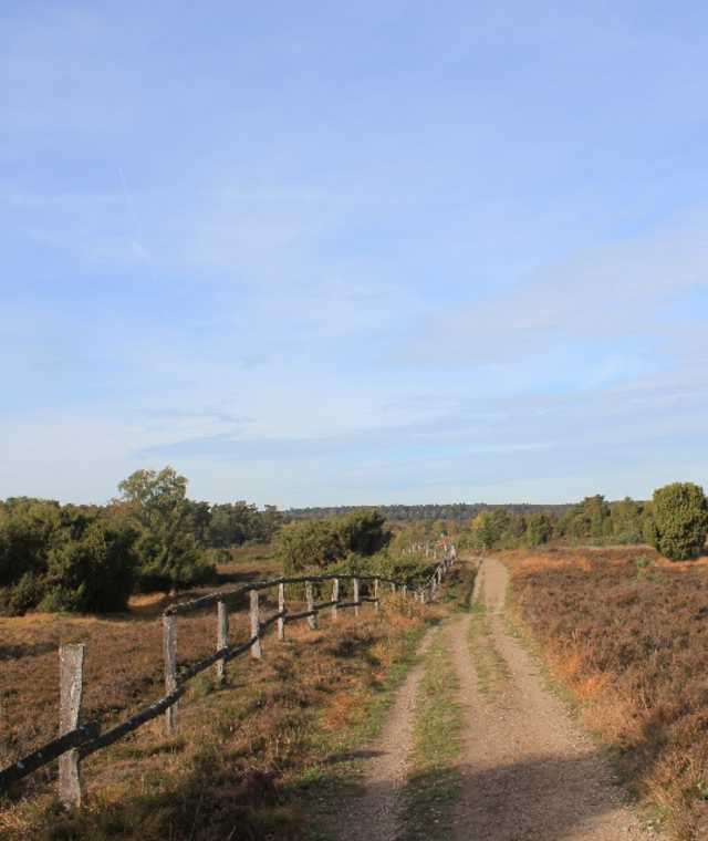 Hinab ins Radenbachtal