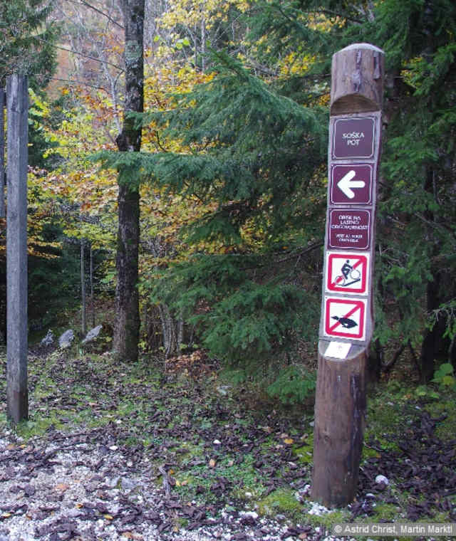 Über stabile Hängebrücken mit teils spektakulären Tiefblicken wechseln wir zweimal die Flussseite. 