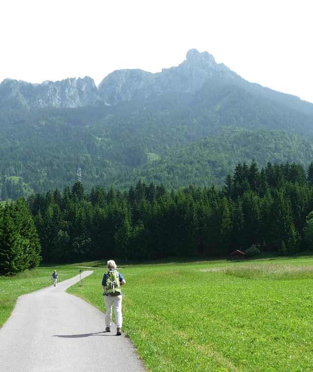In Pflach, 840 m, folgen wir von der L 69 dem Hinweisschild zum Bahnhof. Auf einem asphaltierten Güterweg gehen wir mit Blick auf den Säuling vor uns durch Wiesen.In Pflach, 840 m, folgen wir von der L 69 dem Hinweisschild zum Bahnhof. Auf einem asphaltierten Güterweg gehen wir mit Blick auf den Säuling vor uns durch Wiesen.