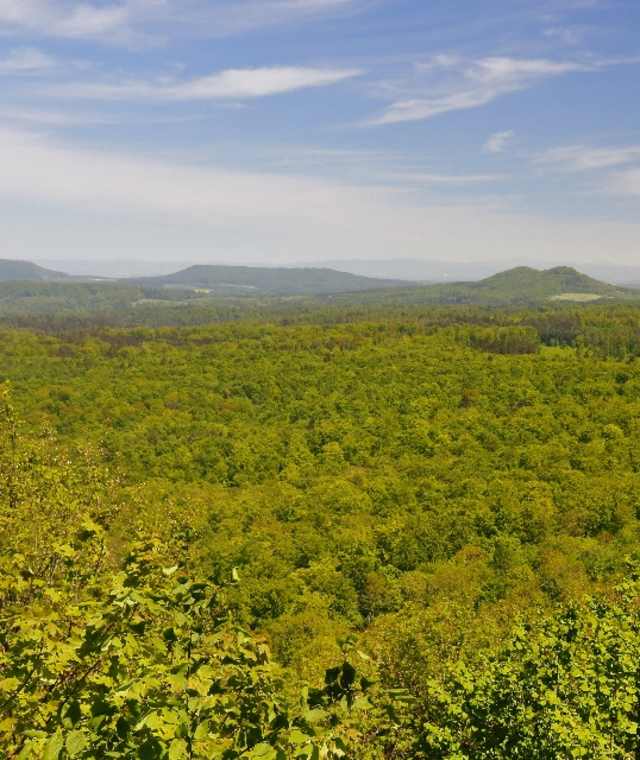 Vom Bocksbühl schweift der Blick über weite Forste zu den beiden Gleichen und dem Eschenberg.