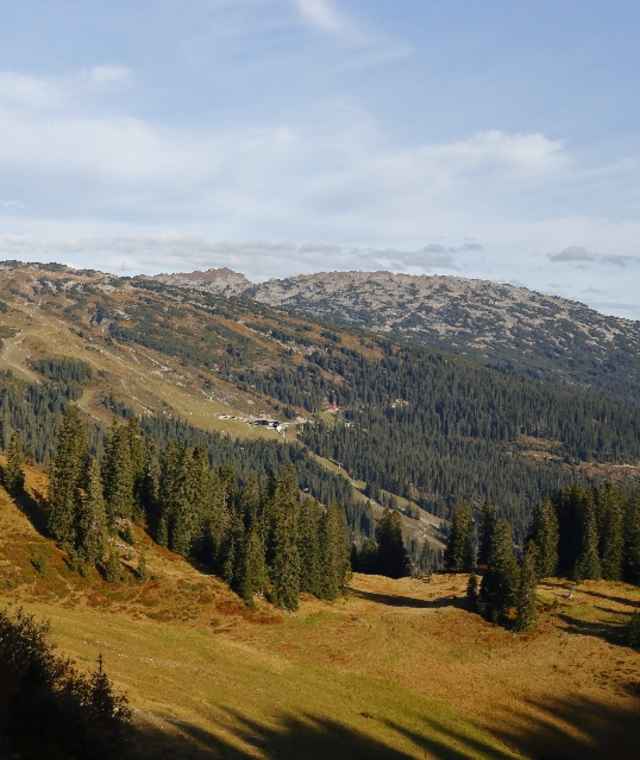 Das Ifengebiet von der Oberen Walmendinger Alpe aus gesehen.