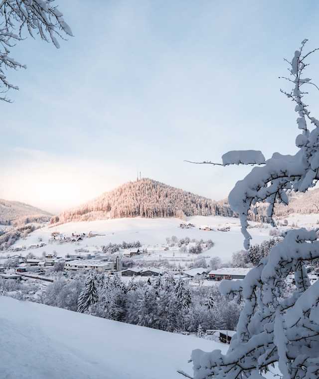 Winterwanderung rund um den Rinkenberg