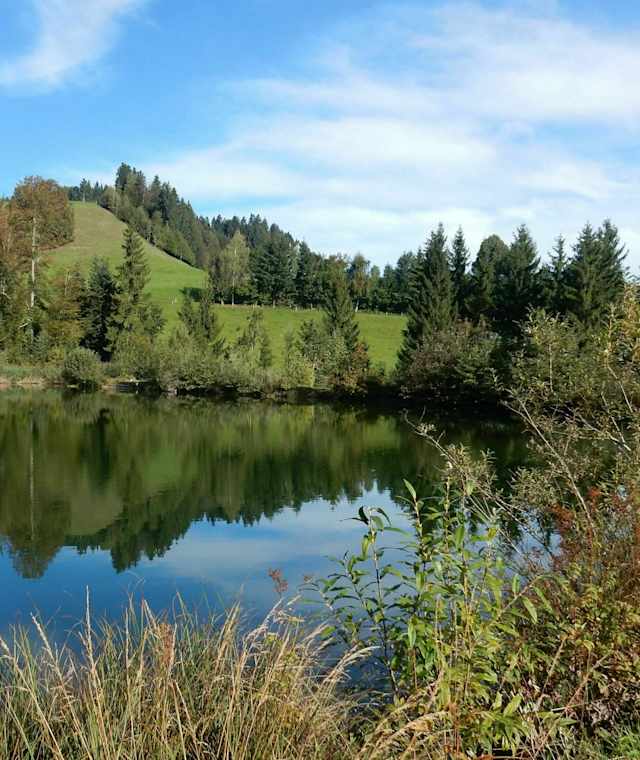 Bachtelweiher