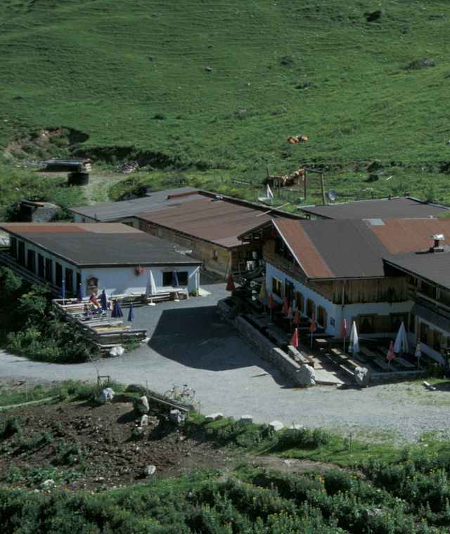 Die Binsalm