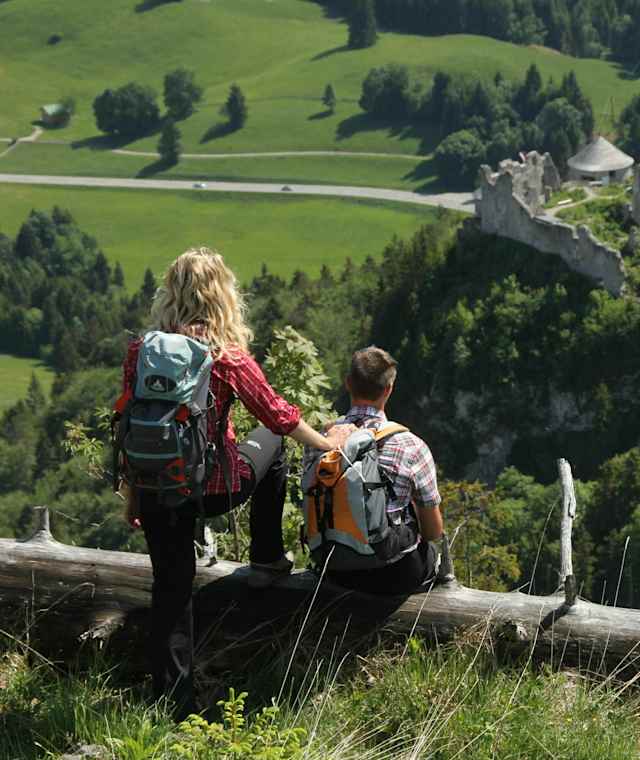 Blick auf die Burgruine