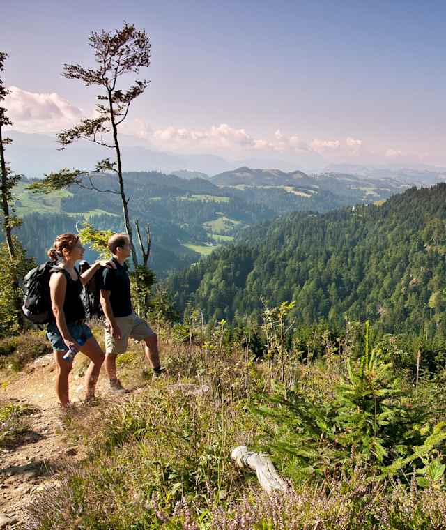 Auf der Wanderung Bramboden - Napf
