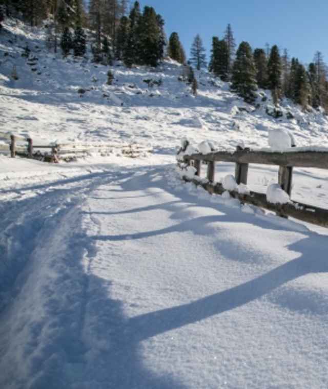 Winterwanderung Cleuson