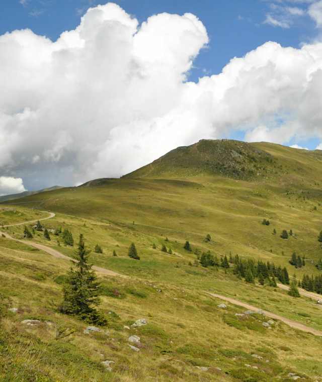 Blick auf den „Kamplnock“