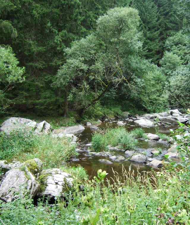 Gemütlich folgt man dem Flusslauf.