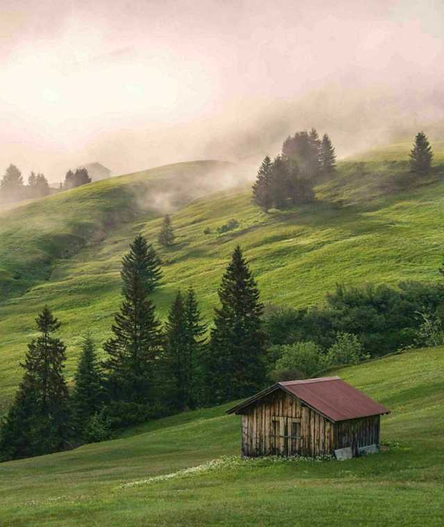 Damüls Uga