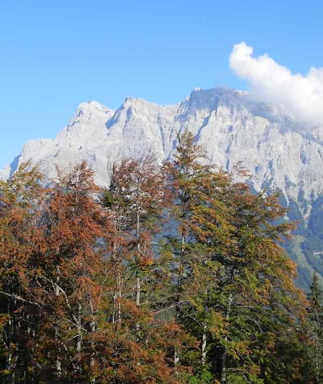 Blick von der Tuftlalm zum Zugspitzmassiv