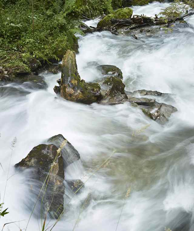 Das schattige Ufer und das kühle Nass des St. Oswalder Baches verschaffen gerade an heißen Sommertagen eine willkommene Abkühlung