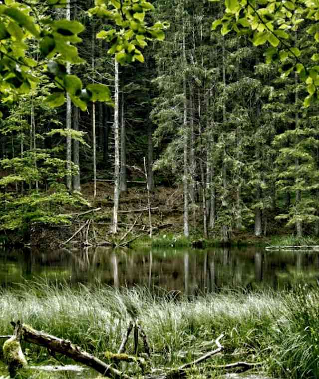 Deffernikschwelle
