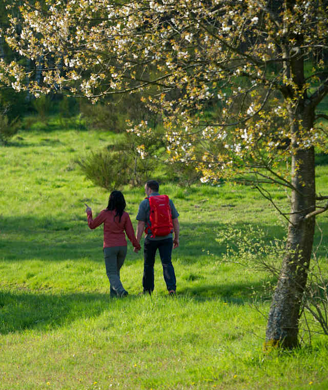 Schöne Wiesen Auf der Dill-Bergtour