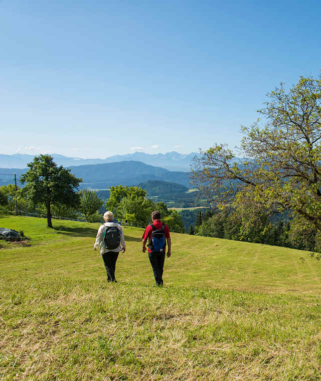 Saftige Wiese mit tollem Bergpanorama