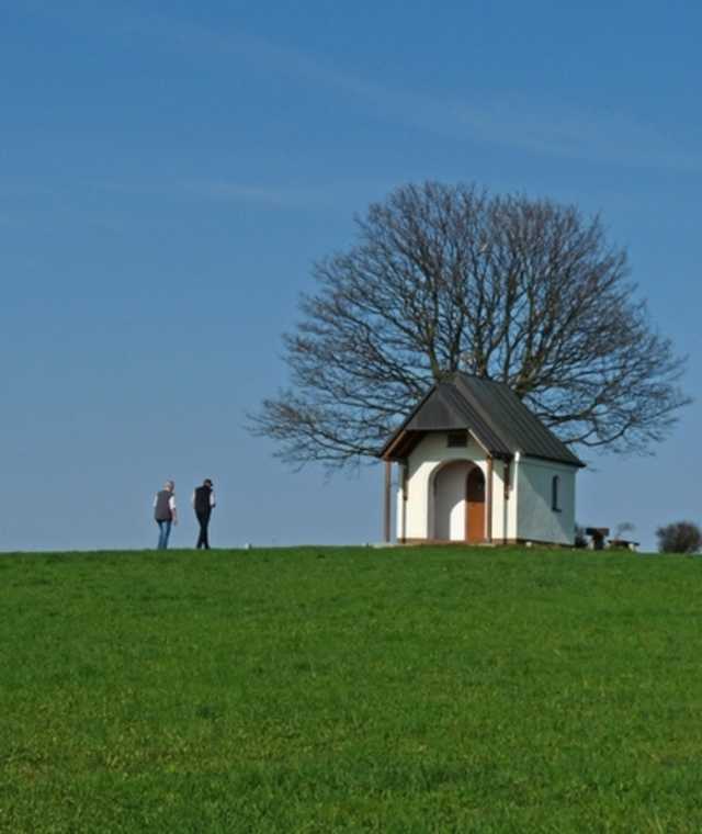 Goldsteig Zuweg Nr. 6B: Von Weiden nach Muglhof