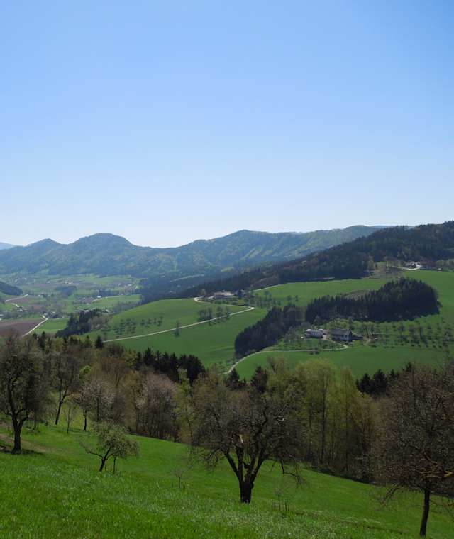 Blick ins Granitztal