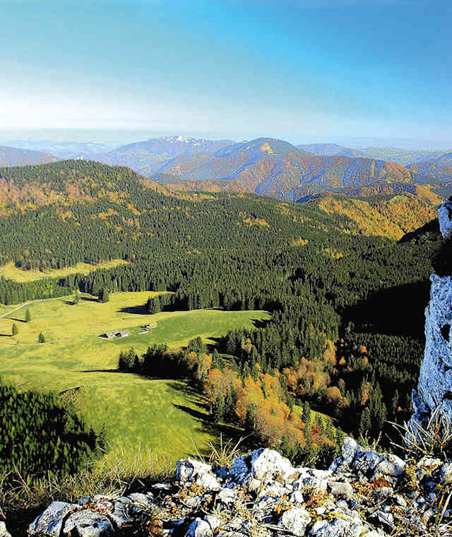 Die Wiesenböden der Ebenforstalm vom Anstieg auf den Trämpl.