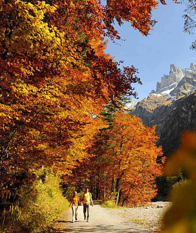 Zauberhafte Herbststimmung