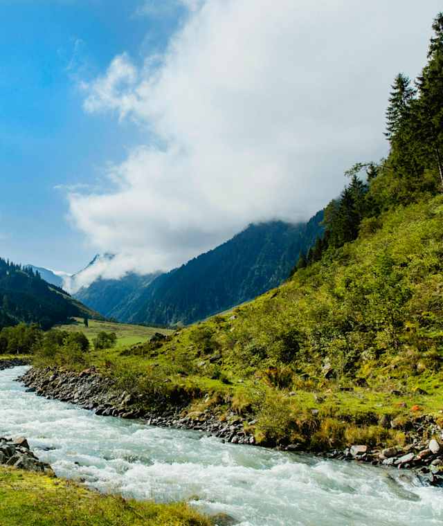 Entlang des Bachlehrweges im Hollersbachtal