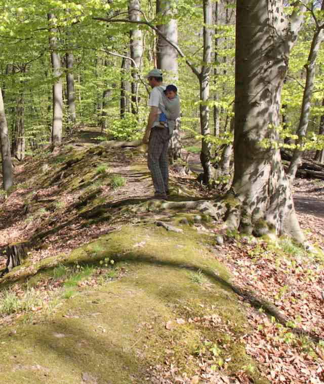 An den Eppinger Linien