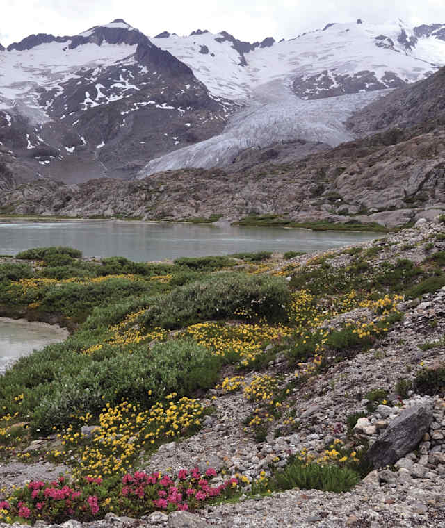  Der Gaulikessel – Patagonien ist hier nicht weit.