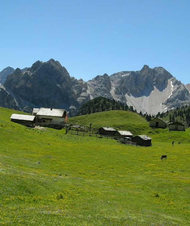 Die Hochalpenhütte