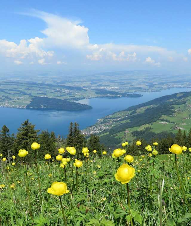 Herrliche Aussicht auf den Zugersee