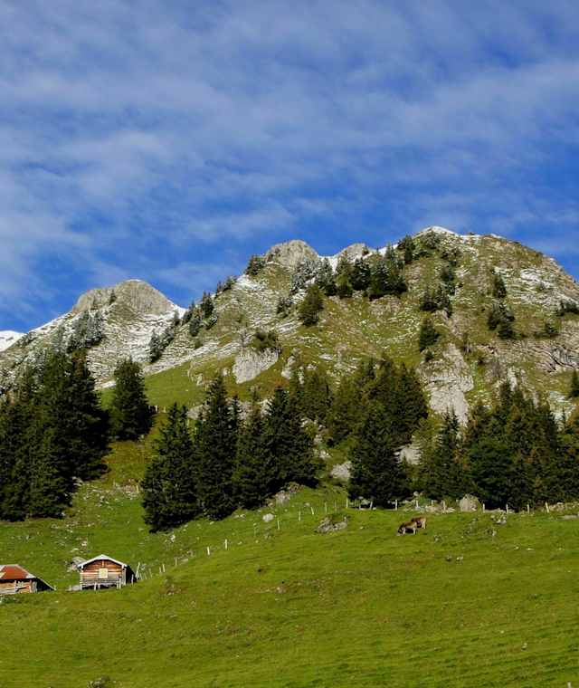 Blick von der Langbodenhütte zum Gräfimattgrat hoch