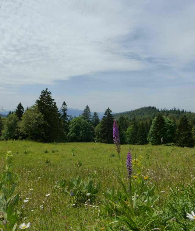 Rundwanderung Grenchenberg