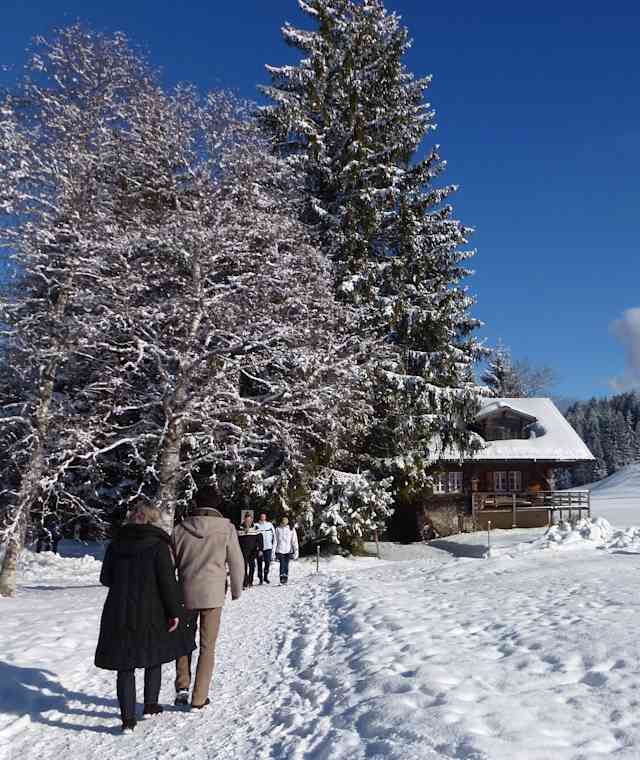 Ein Wintertraum