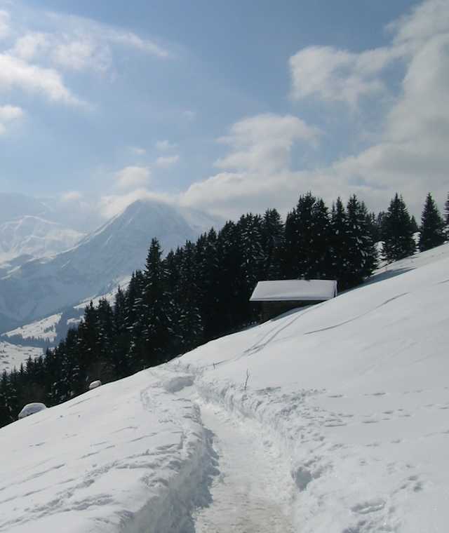 Auf dem Hörnliweg oberhalb von Adelboden