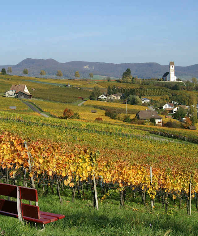 Hallau im Herbst