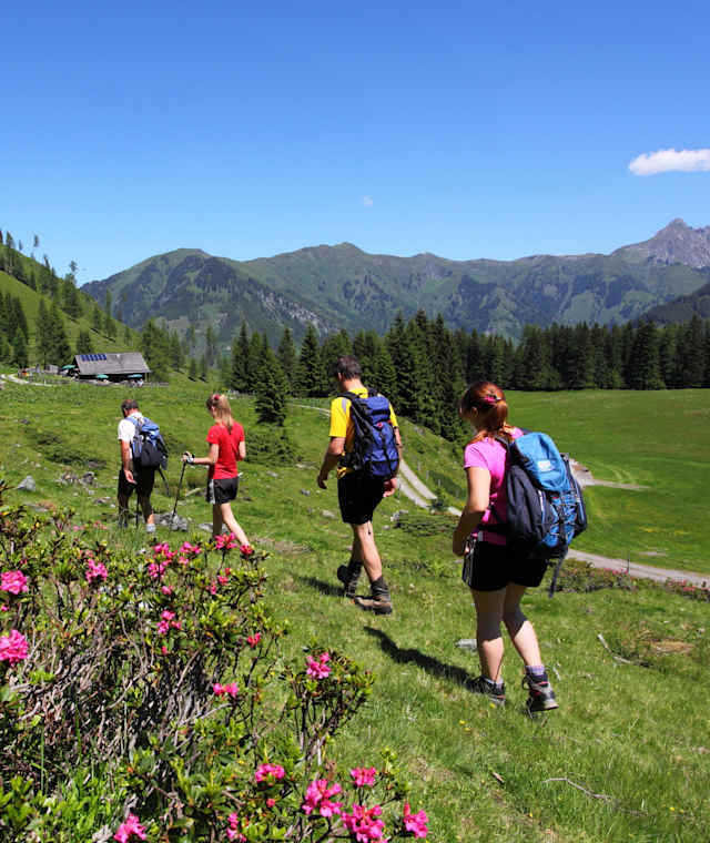 Wanderung zur Hirschgrubenalm