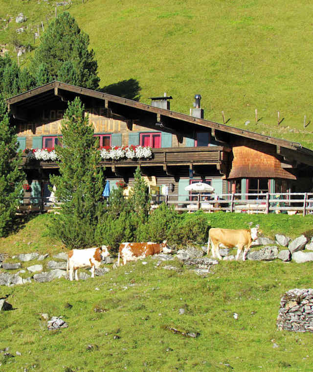 Hüllensteinhütte: Sommer