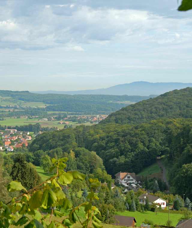 Blick auf Burg