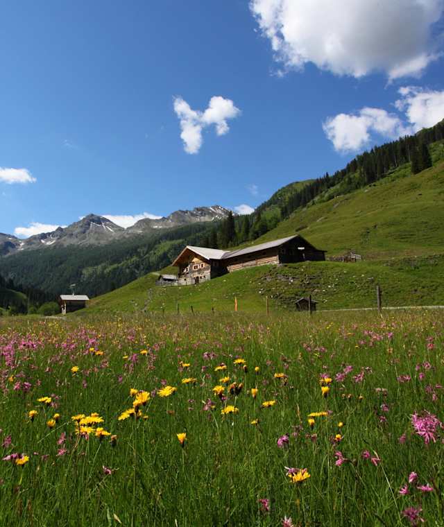 Die Hub-Grundalm im wunderschönen Hubalmtal