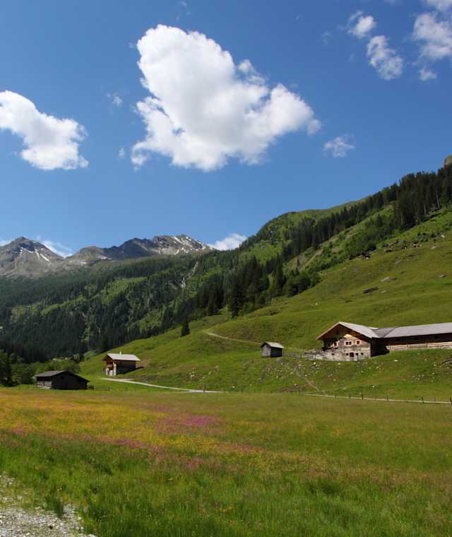 Am Weg zur Hubalm