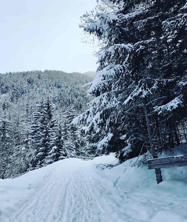 Rodelbahn Tarsch