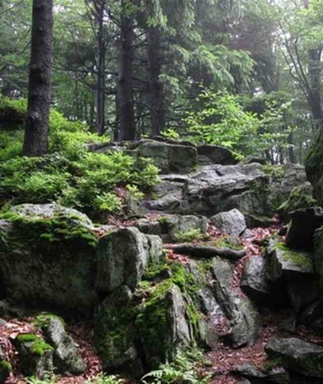 Goldsteig - Nordvariante - Etappe 10: Von Herzogau nach Furth im Wald