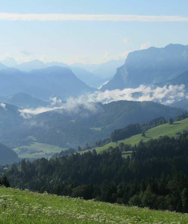 Blick in den Bregenzer Wald