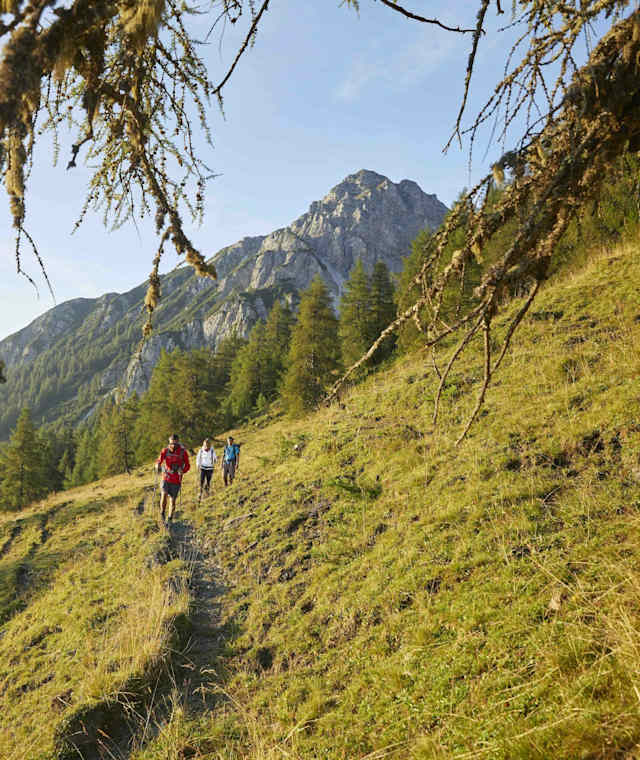 Richtung Saile bzw. Nockspitze