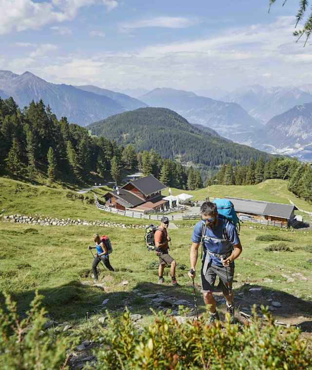 Über die Feldringer Alm