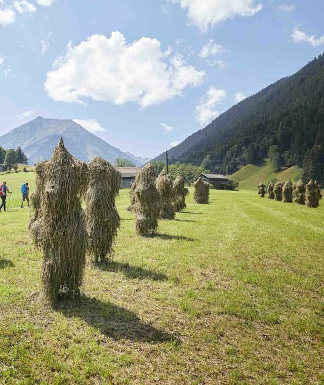 Das Sellraintal gehört zu den Bergsteigerdörfern des Alpenvereins