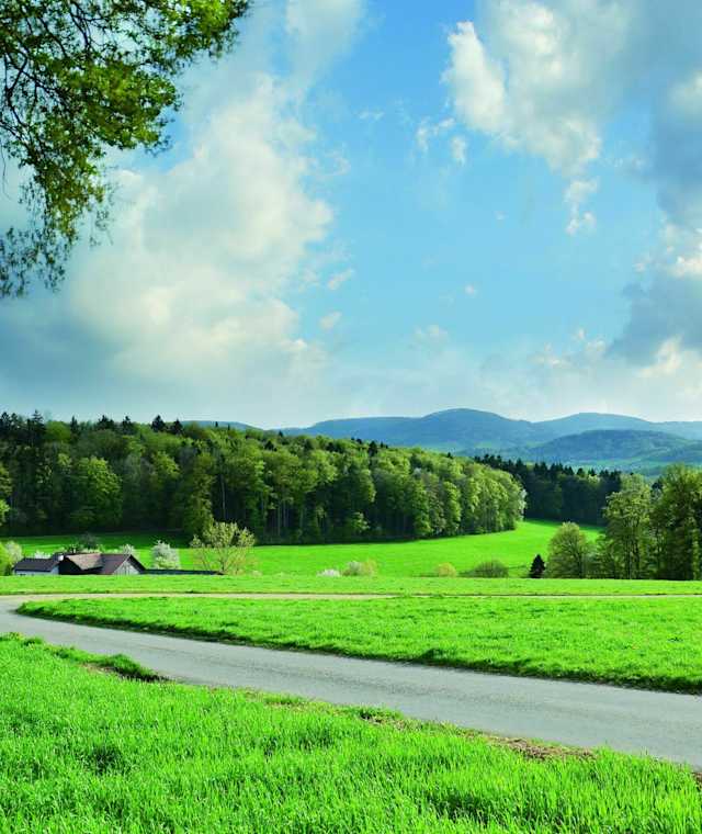 Zwischen Itingen und Diegten