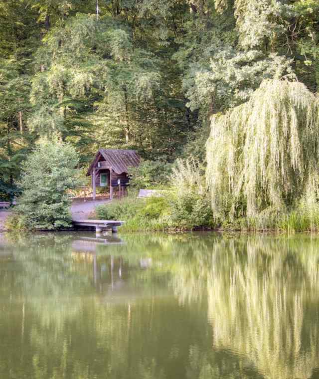 Der Jägersee bei Eppingen