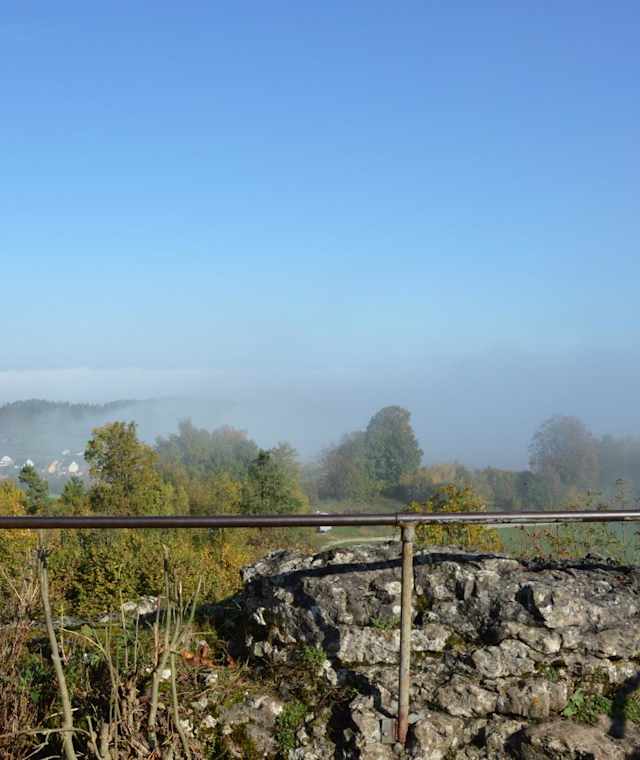 Ausblick vom Aussichtsfeld Adlerstein