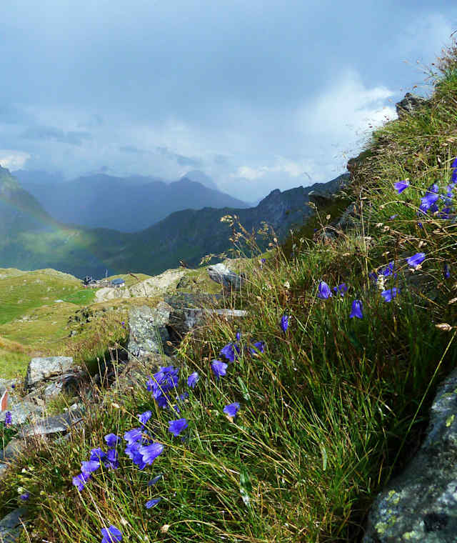 Blick auf die Filmoor-Standschützenhütte