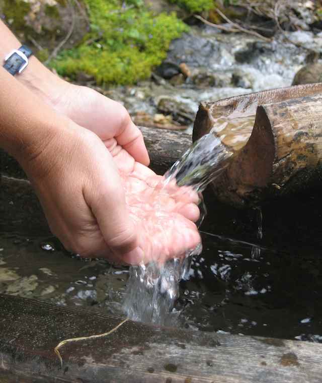 Klares Wasser am Quellenweg Waldrast