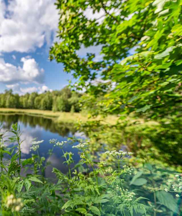 DER HOCHRHÖNER® Kuppenrhön - Etappe 4: Von Oberweißenbrunn auf die Wasserkuppe